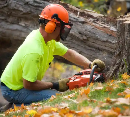 tree services Moorhead